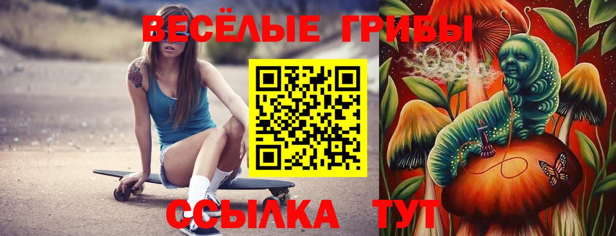 Псилоцибиновые грибы ЛСД  Галлюциногенные грибы ЛСД  Туймазы  Вход с VPN 